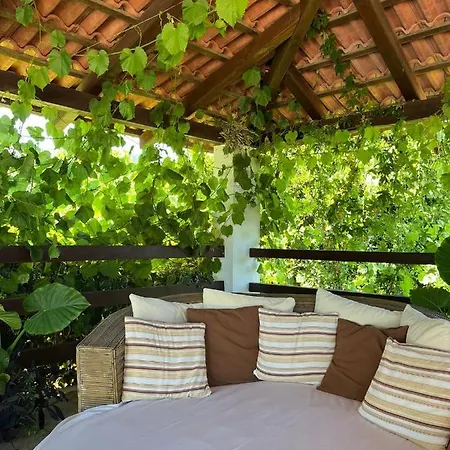 Gorana With Swimming Pool Jelsa