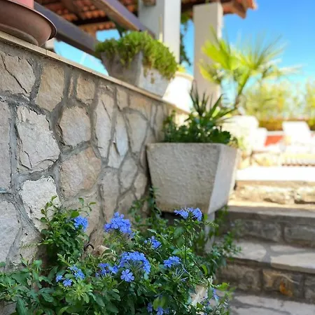 Gorana With Swimming Pool Apartman Jelsa