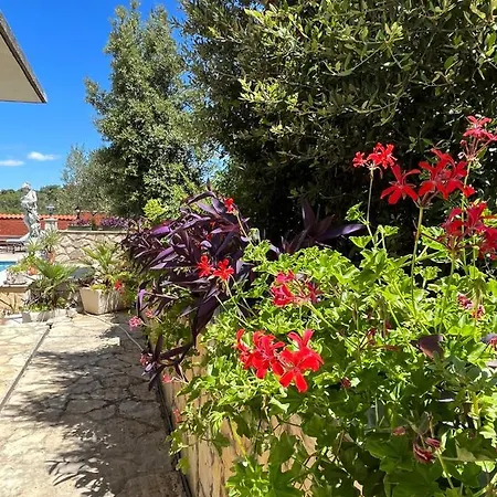Apartman Gorana With Swimming Pool